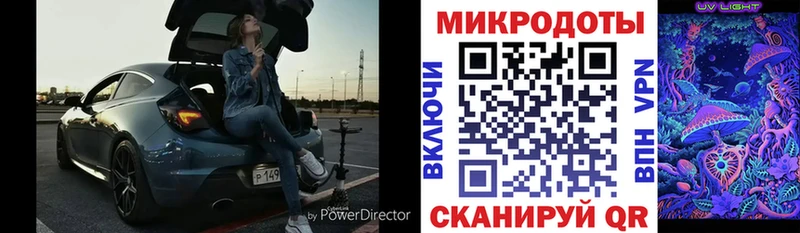 Галлюциногенные грибы Psilocybe  Крым 